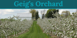 Visit Medina County - Geig's Orchard