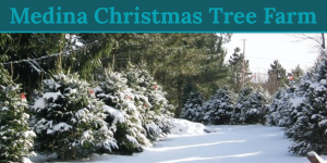 Visit Medina County - Medina Christmas Tree Farm