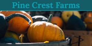 Visit Medina County - Pine Crest Farms