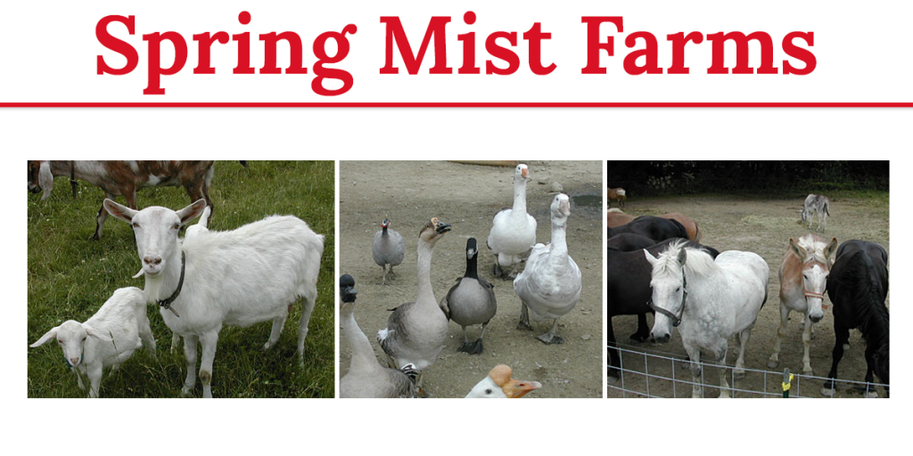 Visit Medina County - Spring Mist Farms