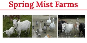 Visit Medina County - Spring Mist Farms