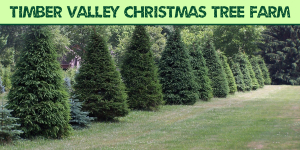 Visit Medina County - Timber Valley Christmas Tree Farm