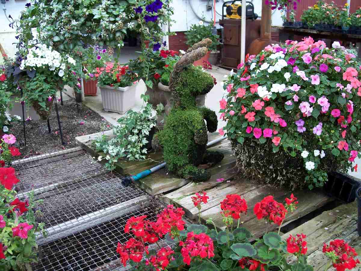 Farms, Greenhouses and Markets in Medina County