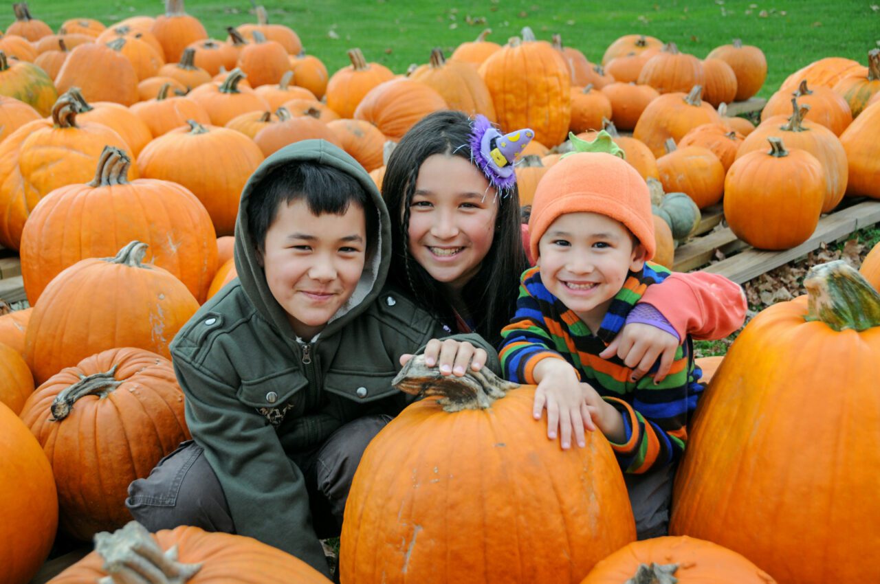 kids in pumpkin patch