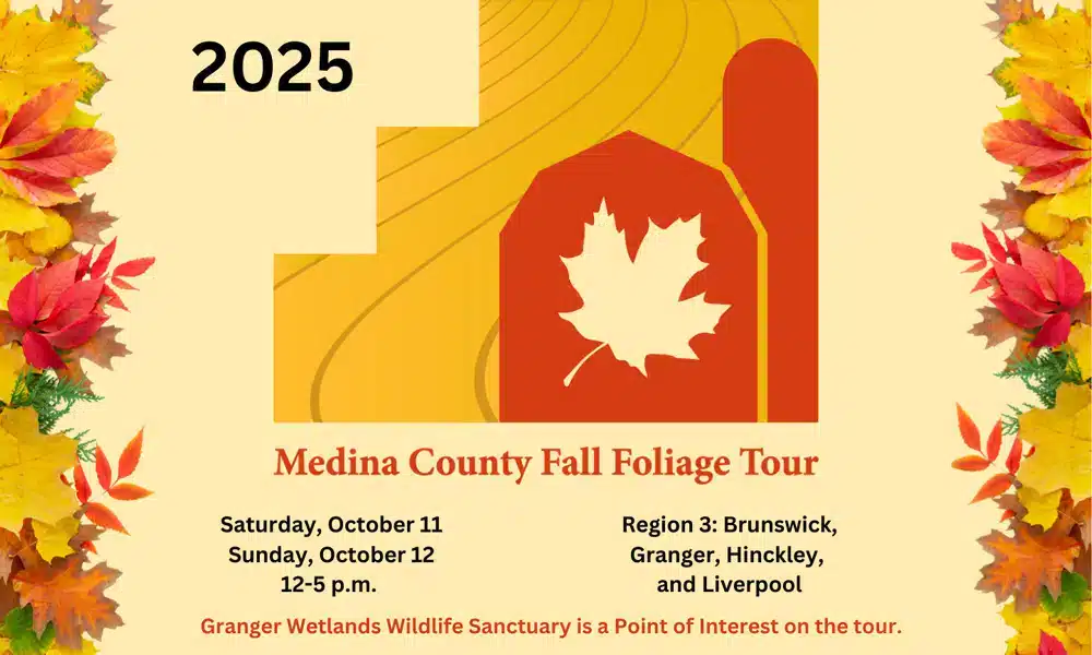 Medina County Fall Foliage Tour