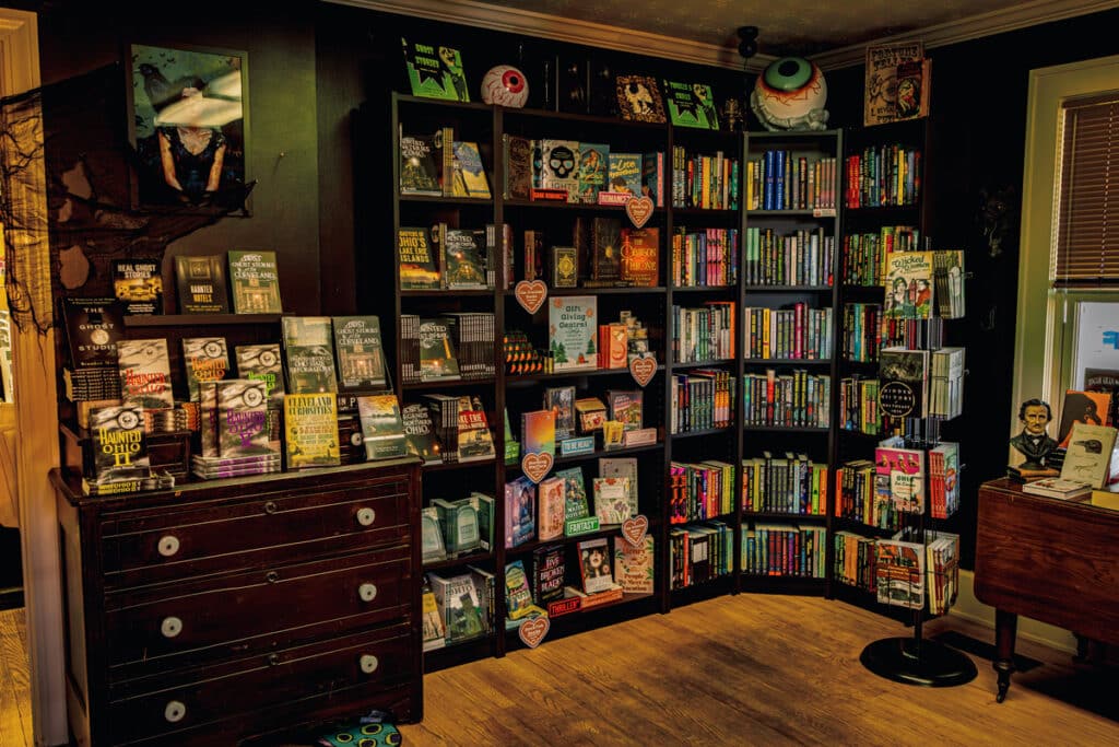 Spend a weekend with Black Cat Books in Medina County, OH